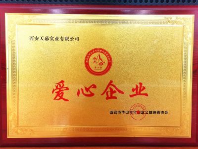 西安市華山青年創(chuàng)意公益慈善協(xié)會授予西安天幕實業(yè)有限公司“愛心企業(yè)”